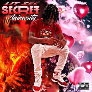 Secret Animosity (Explicit)