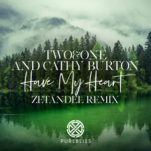 Have My Heart (Zetandel Remix)
