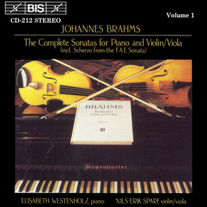Violin Sonata No. 3 in D Minor, Op. 108 - I. Allegro