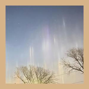 Never Enough (feat. hannahplz & prod. ross gossage) (Explicit)