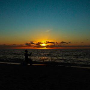 all dogs go to heaven (feat. Roli) (Explicit)