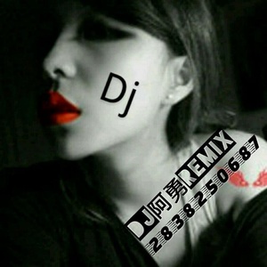 默 (DJ慢摇嗨曲)