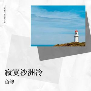 寂寞沙洲冷