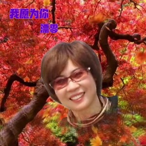 我愿为你 (伴奏)