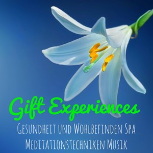 Gift Experiences - Natur Instrumental Easy Listening Entspannende Musik für Gesundheit und Wohlbefinden Spa Meditationstechniken Musik