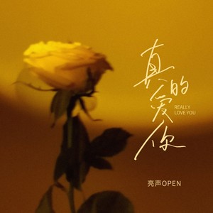 真的爱你