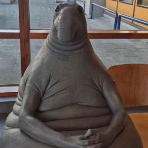 early bird (Explicit)