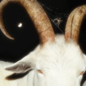 Prince of Venus (Explicit)