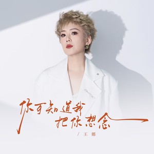 王娜《你可知道我还把你想念》[MP3_LRC]_MP3免费下载