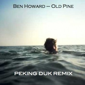 Old Pine (混音|Peking Duk Remix)
