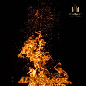 GOLD DIGGER (feat. Unge Picasso) (Explicit)