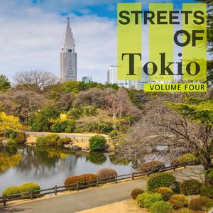 Streets of - Tokio, Vol. 4 (Finest Selection Of Modern Deep House & House Tunes)