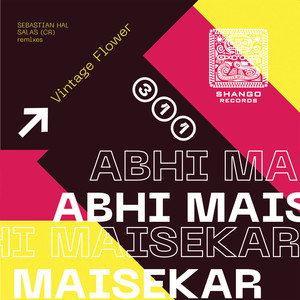 Vintage Flower (Sebastian Hal remix)