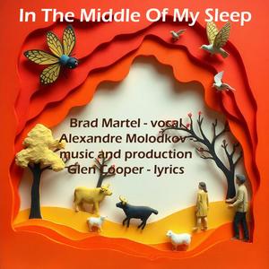 In The Middle Of My Sleep