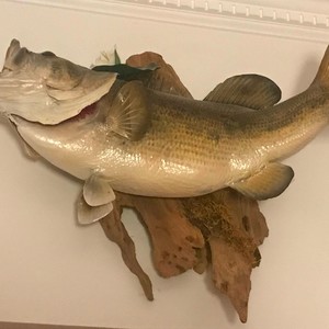 Life of the Country (Radio Edit)