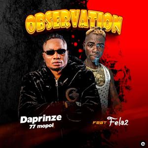 Observation (feat. Fela2) [Explicit]