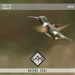 Wake Up! (Original Mix)