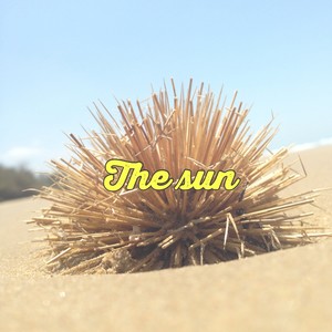 the sun (Acoustic Version)