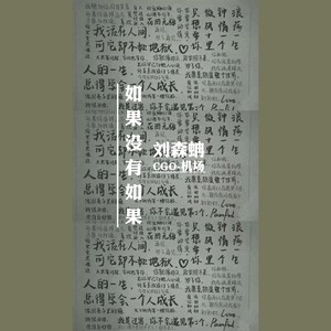 Bluso说唱团体-如果没有如果Remix (CGO-机场/刘森蚺/Yinu Boy Remix)