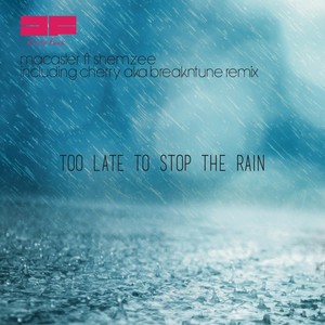 Too Late To Stop The Rain