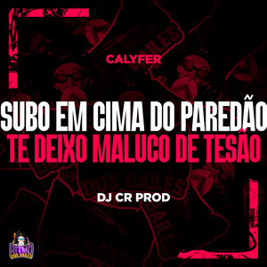 Subo em Cima do Paredão te Deixo Maluco de Tesão (Explicit)