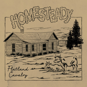 Homesteady (Home Demo)