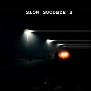 Slow Goodbye's