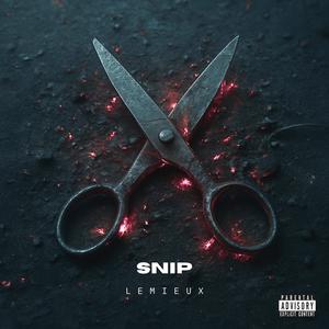 SNIP (Explicit)