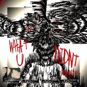 WHAT U DIDNT (feat. ashesashamed & Abstractgenesis) (Explicit)