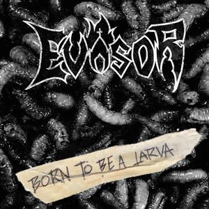 Born To Be A Larva (Explicit)