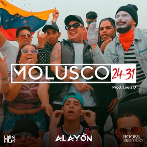 MOLUSCO 24-31