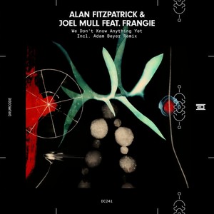 We Don't Know Anything Yet (feat. Frangie) (Adam Beyer Remix)