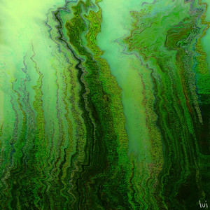 forevergreen (Explicit)