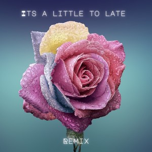 Its a Little Too Late (Remix)