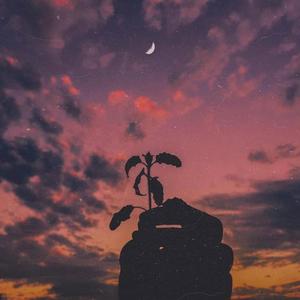 Hayat boyu (Lifetime) (feat. 808papi)