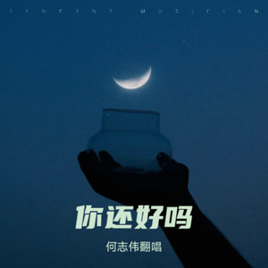 何志伟翻唱 - 年冥冥