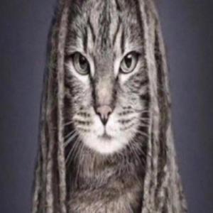 5up (feat. anarchy) (Explicit)