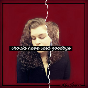 Should Have Said Goodbye
