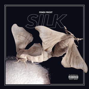 Silk (Explicit)