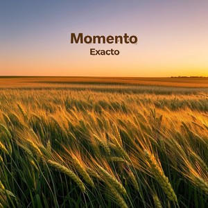 Nuestro nuevo comienzo