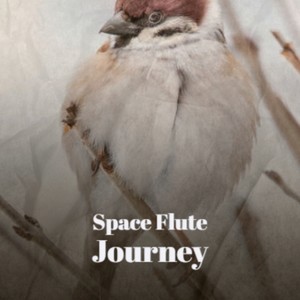 Space Flute Journey