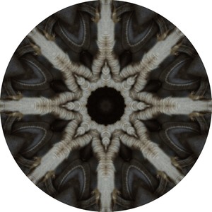 Liberty Action (Original Mix)