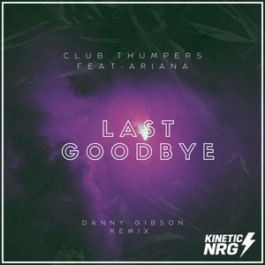 Last Goodbye (Danny Gibson Remix)