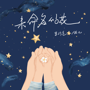 未命名的花封面