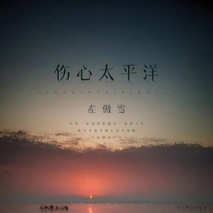 伤心太平洋封面