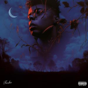 NVR LOSE (FEAT DJ FIJI) (Explicit)