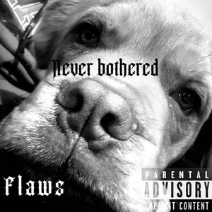 Never bothered (Explicit)