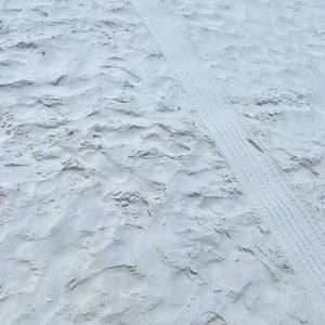 FDO (feat. Coonpackk & Hippyie) (Explicit)