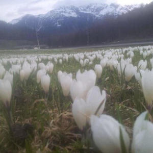 im tired rn.. how about tomorrow night?