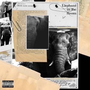 Elephant In The Room (Explicit)